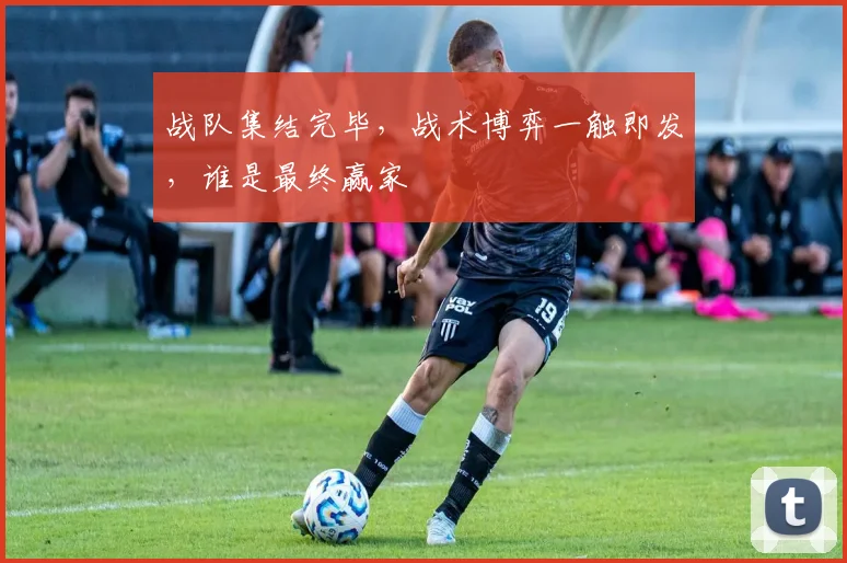 战队集结完毕，战术博弈一触即发，谁是最终赢家
